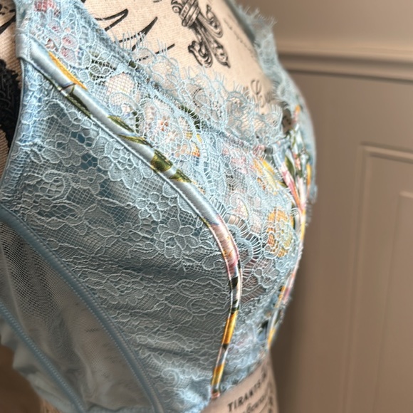 Victoria’s Secret Blue Lemon Corset - Picture 9 of 10